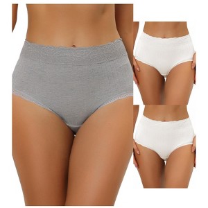 Allegra K Women's High Waist Tummy Control Comfortable Lace Trim Ribbed Briefs Multicolored - 1 of 4