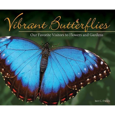 Vibrant Butterflies - (Nature Appreciation) by  Jaret C Daniels (Paperback)