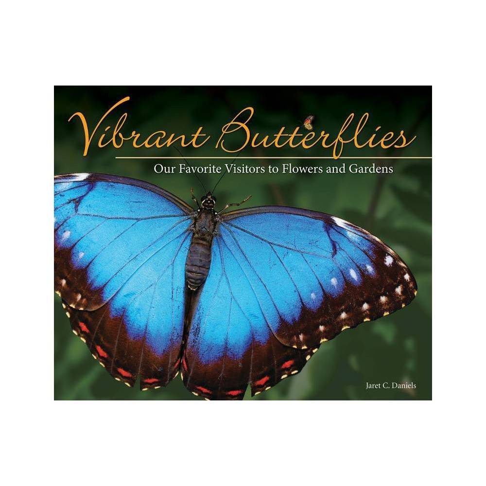 ISBN 9781591937890 product image for Vibrant Butterflies - (Nature Appreciation) by Jaret C Daniels (Paperback) | upcitemdb.com