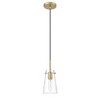 Kira 1-Light Pendant - Slim Clear Glass & Steel Design, Dimmable, 60W, 5"x8" - 2 of 4