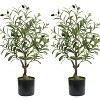 Set of 2 Artificial Olive Trees – Realistic Potted Faux Olive Plants with Natural Wood-Like Trunks, Lifelike Leaves and Fruit, Indoor Outdoor - 4 of 4