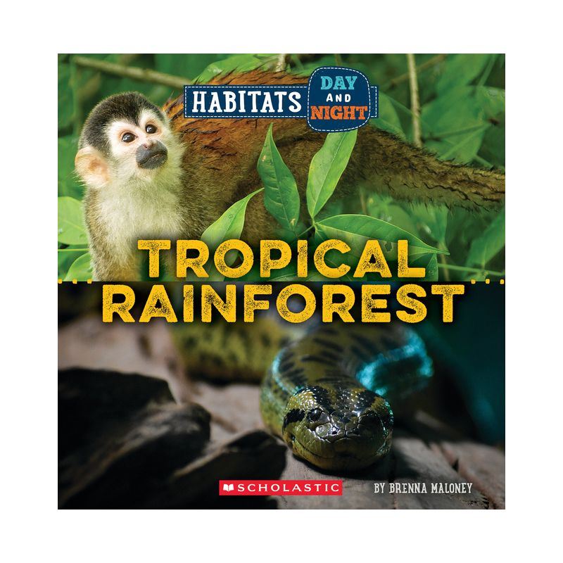 Tropical Rainforest (Wild World: Habitats Day and Night) - by Brenna Maloney, 1 of 2