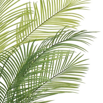 50'' Green Areca Palm in Black Plastic Pot