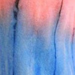 tie dye colorful swirl