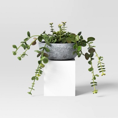 10&#34; Trailing Sedum Artificial Plant - Threshold&#8482; designed with Studio McGee