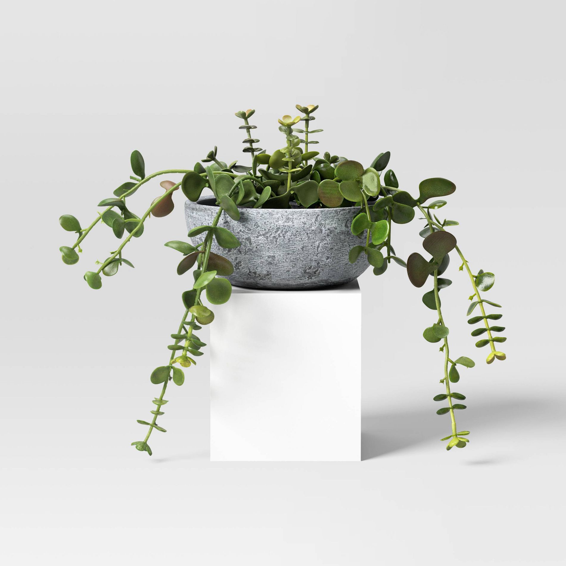 10" Trailing Sedum Artificial Plant - Threshold™ designed with Studio McGee