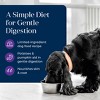 Blue Buffalo Basics Skin & Stomach Care Grain Free Natural Adult Wet Dog Food with Turkey - 12.5oz - 3 of 4