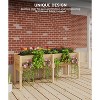 Wooden Raised Garden Beds Outdoor for Growing Vegetables and Herbs,2 Tier Design for Easy Germination - 3 of 4