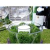 SuperMoss Preserved Reindeer Moss, Forest, 8oz bag (200 cubic inch) - 3 of 4