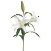 Floral Home 34" Cream Casablanca Lily - 12-Piece - 2 of 2