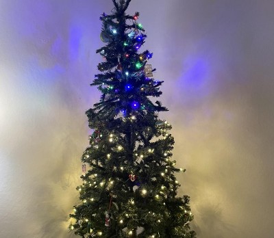 Guest review image 1 of 2, zoom in