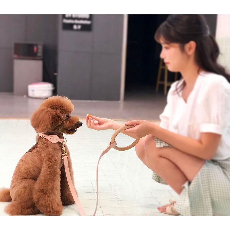 Pet Life  'Ever-Craft' Boutique Series Adjustable Designer Leather Dog Collar, 3 of 4