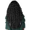 California Costumes Renaissance Maiden Adult Wig (Black) - 2 of 3