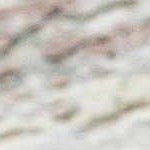 light gray, gray, dark brown, medium brown, medium gray