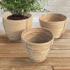 Plum & Post Cane Rattan Round Tapered Baskets, Set Of 3 - 3 of 3