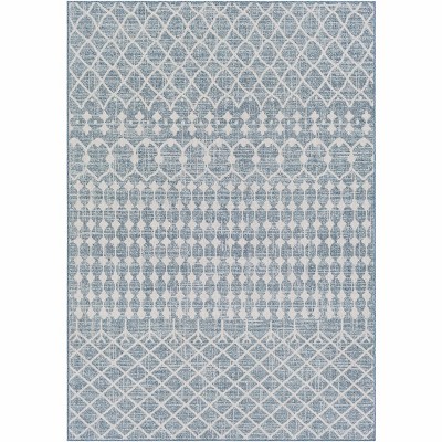 Hauteloom Blue Ivory Summit Indoor & Outdoor Area Rug