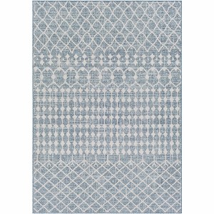 Hauteloom Blue Ivory Summit Indoor & Outdoor Rug - 1 of 4