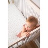 aden + anais essentials Crib Sheet - 4 of 4