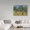 Trademark Fine Art -Vincent Van Gogh 'Olive Orchard Midjune' Canvas Art - 3 of 3