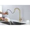 Kitchen Faucet Equipped with a Pull-Out Spray Nozzle Kitchen Sink Faucets - 3 of 4