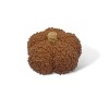Small Decor Pumpkins Brown - Bullseye's Playground™ - 2 of 3