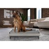 TailZzz Asher Wooden Pet Bed with Mattress  Elevated Pet Bed Greenguard Gold Certified Wooden Pet Bed - 3 of 4