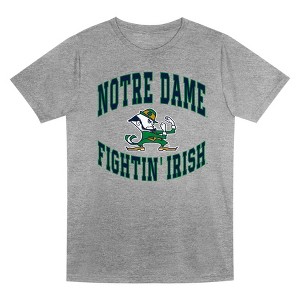 NCAA Notre Dame Fighting Irish Boys' Gray Poly T-Shirt - 1 of 1