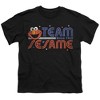 Boys' Short Sleeve Sesame Street Team Sesame T-Shirt - 2 of 4