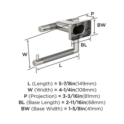Polished Nickel and Stainless Steel Single Post Toilet Paper Holder