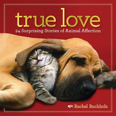 True Love - by  Rachel Buchholz (Hardcover)