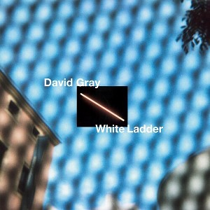 David Gray - White Ladder (2020 Remaster) (2LP White Vinyl) (140 Gram Vinyl Colored Vinyl White Gatefold LP Jacket Digital Download Card Remastered) - 1 of 1