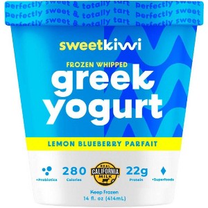 Sweetkiwi Frozen Greek Yogurt Lemon Blueberry - 14oz - 1 of 3