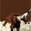 Heath Shell Toppings, Chocolate With Toffee Bits, 7oz Bottles (Pack Of 4) - 3 of 3