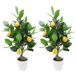 2-Pack 20 Inch Faux Lemon Tree in Pot - Artificial Citrus Plants for Indoor Home Decor, Office Desk & Kitchen - 1 of 4