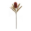 Banksia Stem Set Of 6 Plastic Design With 24 Inch Height For Floral Displays By Melrose - 3 of 3