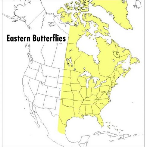 A Peterson Field Guide to Eastern Butterflies - (Peterson Field Guides) 2nd Edition by  Paul A Opler (Paperback) - image 1 of 1