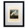 Trademark Fine Art -John James Audubon 'Snowy Heron' Matted Framed Art - 2 of 4