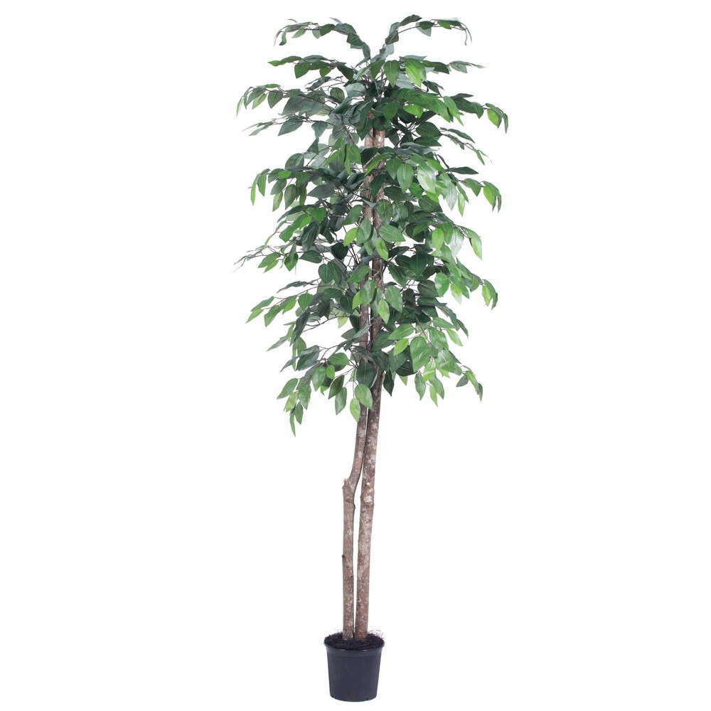 Photos - Garden & Outdoor Decoration Vickerman 6" Plastic Pot Artificial Ficus Tree - : Silk & Polyester, No Assembly, Indoor Decor 