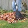 Emsco Resin Head Hardwood Handle 2.3" Leaf Rake - 4 of 4