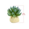 Unique Bargains Plastic Cactus Plant Terrarium Reptile Tank Habitat Decor for Reptiles Green - 3 of 4