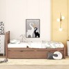 TiramisuBest Modern Design Wooden Twin Size Platform Bed Frame with Trundle for Walnut Color - Walnut Rubber Design - 4 of 4