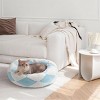 23" Donut Cat Bed for Indoor Cats, Round Washable Plush Pet Bed with Jacquard Shaggy Fabric & Non-Slip Bottom, Calming Dog Bed for Puppies & Kittens - 3 of 4