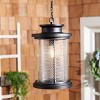 Queren 9.25" Outdoor Pendant - PLT7025 - Black - Safavieh - 4 of 4