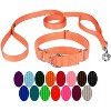 Country Brook Design Martingale Heavyduty Nylon Dog Collar and Double Handle Leash - 4 of 4