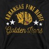 University of Arkansas at Pine Bluff Official Golden Lions Adult Pull-Over Hoodie - 2 of 4