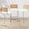 Bekrvio Bar Stools Set of 2/3/4, 26”/30" Barstool with Rattan Back, Velvet-Upholstered & Chrome Frame,Mid Century Modern Kitchen Stool for Island - 4 of 4
