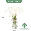 2 Pack Artificial Calla Lilies in Glass Vases - 6 Real Touch Latex Flowers with Faux Water for Wedding Centerpieces, Dining Table & Home Decor - 2 of 4