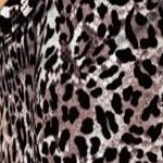 classic leopard