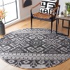 Adirondack ADR107 Non-Shedding Power Loomed Indoor Rugs - Safavieh - 2 of 4