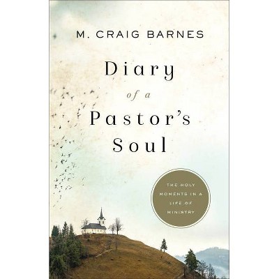 Diary of a Pastor's Soul - by  M Craig Barnes (Paperback)